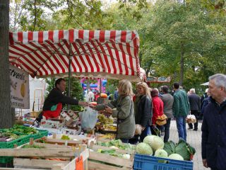 Auch die Vitaminzufuhr ist gesichert - frisches Obst in Hannover. Foto: Karina Strübbe