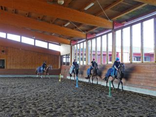 Vor und nach dem Galoppieren geht es in die Halle, zum Gynastizieren und Abpusten. Foto: Karina Strübbe