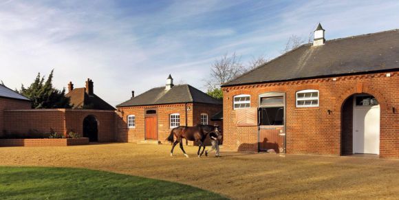 Oasis Dream präsentiert sich vor dem Hengststall im Juddmonte Stud in Newmarket. www.galoppfoto.de - Heike Marohl