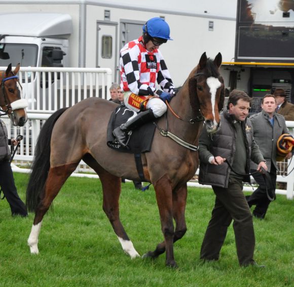 Der in Fährhof gezogene The Giant Bolster: Der Black Sam Bellamy-Sohn wurde im wichtigsten Rennen des Meetings, dem Cheltenham Gold Cup, guter Zweiter hinter Synchronised. Foto (Archiv): JJ Clark