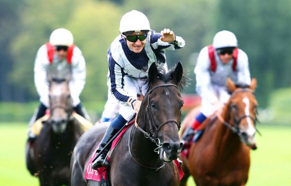 Einer von zwei Neuzugängen im Gestüt Fährhof: Mit fünf Längen Vorsprung auf Olympic Glory gewinnt Maxios den Prix du Moulin. © Fährhof