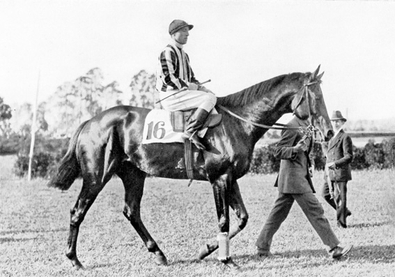 Mit Julius Rastenberger im Deutschen Derby 1920. www.galopp-hamburg.de