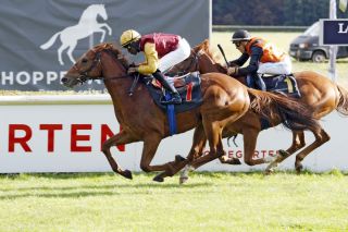 05 - Warrings States: Stets hoch eingeschätzt von seinem Quartier und auch die erste Wahl von Stalljockey Eduardo Pedroza ist Qatar Racings Japan-Import, der sein Maidenrennen in Hoppegarten gewann (Foto) und danach in den Bavarian Classic, Gr. III, knapp gegen Enjoy Vijay zum Sieg fightete. www.galoppfoto.de - Frank Sorge