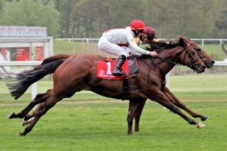 06 - Enjoy Vijay: Aus dem großen Stall von Peter Schiergen kommt nur ein kleines Lot an den Start, aber der Ittlinger Enjoy Vijay - hier in den Bavarian Classic, Gr. III, hinter Warring States (verdeckt) Zweiter -  gehört unter Andrasch Starke zum erweiterten Favoritenkreis. www.galoppfoto.de - WiebkeArt