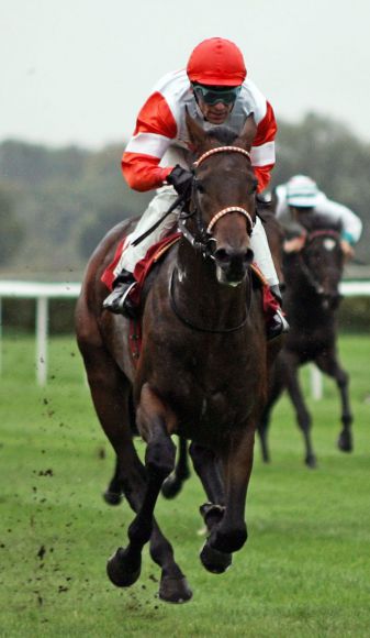 Erster Start, erster Sieg: Pastorius gewinnt in Baden-Baden 08.10.2011. www.galoppfoto.de - Sarah Bauer