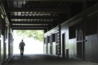 Stallungen im Stonereath Stud. www.stonereath.com