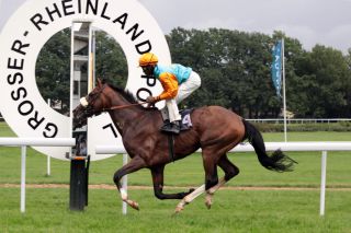 Überlegen - Earl of Tinsdal und Eduardo Pedroza beim Rheinland-Pokal, Gr. I. www.galoppfoto.de