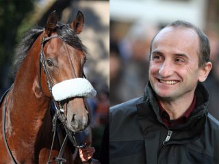 Trainer Roland Dzubasz fightet um Championats-Punkte, sein Flamingo Star läuft im Ratibor-Rennen: www.galoppfoto.de - Sabine Brose