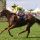 Cape Byron gewinnt mit Andrea Atzeni die Wokingham Stakes. www.galoppfoto.de - Sandra Scherning