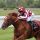 Zeigte den deutschen Grand Prix-Pferden die Hinterhufe: French King mit Olivier Peslier im Sattel. Foto: Dr. Jens Fuchs