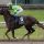 Miss Marbel mit Bayarsaikhan Ganbat beim Aufgalopp in Mülheim am 15.05.2021. ©galoppfoto - Stephanie Gruttmann