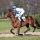 More Than Honey beim Aufgalopp in Düsseldorf (Foto: Dr. Jens Fuchs)