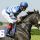 Narrika mit Alexander Pietsch beim Aufgalopp. www.galoppfoto.de - Sarah Bauer