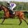 Salve Aurora mit Andrasch Starke beim Aufgalopp in Hoppegarten 2010. www.galoppfoto.de - Sabine Brose