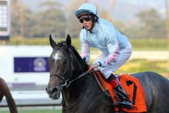 Grandeur gewinnt 2012 mit William Buick das Twilight Derby. Foto: www.galoppfoto.de - Petr Guth