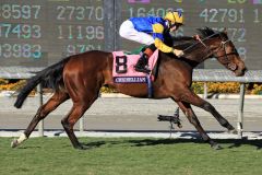 Ein furioser Endspeed bescherte Chriselliam und Richard Hughes den Sieg im BC Juvenile Fillies Turf. Foto: www.galoppfoto.de - Petr Guth/Sorge