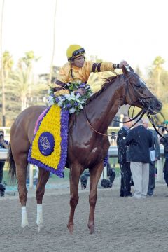 Fein gemacht. Wise Dan, nunmehr Doppelsieger in der BC Mile und Jockey Jose Lezcano. Foto: www.galoppfoto.de - Peeo Ploff/Sorge