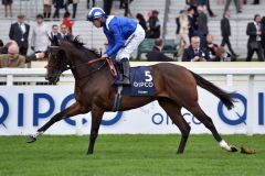 Tasleet 2017 beim Aufgalopp in Ascot. www.galoppfoto.de - John James Clark