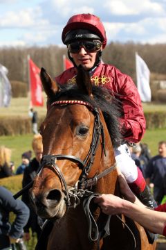 Rogue Runner mit Andrea Atzeni nach dem Sieg am Ostersonntag in Hoppegarten. www.galoppfoto.de - Frank Sorge