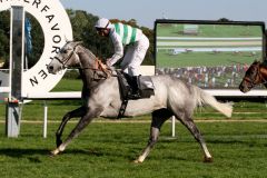 Das Ziel 'Black Type-Sieg" erreicht: Die Schimmelstute Alwilda aus England gewinnt das Silberne Band mit Adrie de Vries im Sattel. www.galoppfoto.de - Sandra Scherning