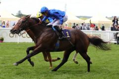 Blue Point bei seinem Sieg in den Diamond Jubilee Stakes. www.galoppfoto.de