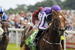 Leichte Sieger in den Juddmonte International Stakes: Australia und Joseph O'Brien. Foto:  www.galoppfoto.de - John James Clark