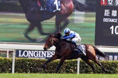 Musste keinen Gegner fürchten, Lord Kanaloa siegt im Hong Kong Sprint 2013 mit 5 Längen. Douglas Whyste und Glorious Days nach dem Sieg in der Hong Kong Mile. Foto: www.galoppfoto.de - Frank Sorge