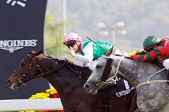 Flintshire siegt unter Maxime Guyon in der Hong Kong Vase. www.galoppfoto.de - Frank Sorge