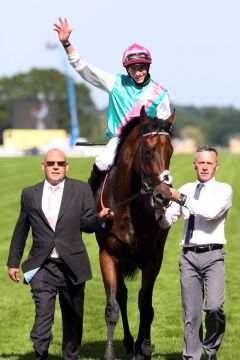 Via Triumphalis für Kingman und James Doyle nach dem Sieg in den St James's Palace Stakes. Foto: www.galoppfoto.de - Frank Sorge