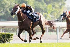 Auf dem Weg zum Sieg: Able Friend und Joao Moreira gewinnen die Hong Kong Mile. www.galoppfoto.de - Frank Sorge