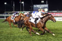 Eng ging es zu im Al Quoz Sprint. Am Ende hat mit Amber Sky ein Gast aus Hongkong den Hals vorn.  Foto: www.galoppfoto.de - Frank Sorge