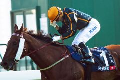 Jaoa Moreira freut sich über "Streich eins", der zweite folgte auf dem Fuße. Auf dem Weg zum Sieg: Able Friend und Joao Moreira gewinnen die Hong Kong Mile. www.galoppfoto.de - Frank Sorge