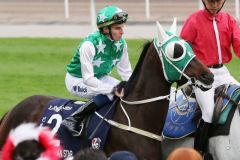 Pakistan Star unter William Buick. ©galoppfoto.de