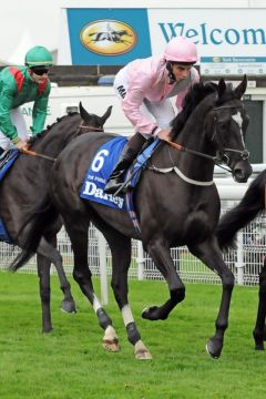 The Fugue und Willam Buick beim Aufgalopp. Foto: www.galoppfoto.de - Frank Sorge