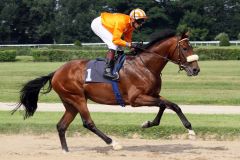 Baschar mit Andreas Helfenbein in Köln beim Aufgalopp.www.galoppfoto.de.