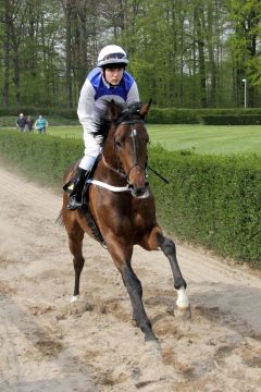 Sir Lando beim Aufgalopp mit Jan-Erik Neuroth. www.klatuso.com