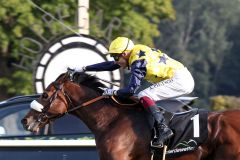  Grocer Jack mit Alexander Pietsch gewinnt den 31. Preis der Deutschen Einheit in Hoppegarten. ©galoppfoto - Sabine Brose