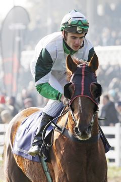  Nanino Chardonnay mit Vinzenz Schiergen beim Aufgalopp 2019 in Halle. ©galoppfoto - Sabine Brose