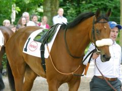 Ajaxana in Düsseldorf vor ihrem Sieg in den 1000 Guineas. Foto: Karina Strübbe