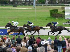 Night Wish gewinnt vor Nausica Time und Quinzieme Monarque den Grand Prix Aufgalopp am 06.04.2014 in Köln. Foto: Karina Strübbe