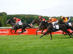 Zephyros und Lacoper haben das Nachsehen gegenüber Precious Promise. Foto: Karina Strübbe