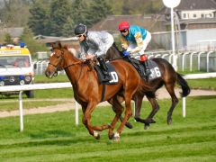 Lutindi mit Daniele Porcu beim Aufgalopp in Dortmund. Foto: Karina Strübbe