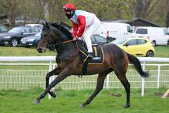 Aff un zo mit Maxim Pecheur beim Aufgalopp am 05.04.21 in Köln. ©galoppfoto.de - Sandra Scherning