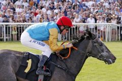 Akribie gewinnt mit Adrie de Vries das Diana-Trial in Hoppegarten. www.galoppfoto.de - Frank Sorge