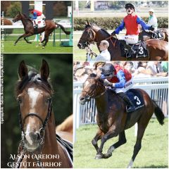 Startet 2022 im Gestüt Fährhof in die Deckhengst-Karriere - der Areion-Sohn Alson. Hier mit Filip Minarik als Sieger im Zukunftsrennen (rechs) und mit Frankie Dettori erfolgreich auf Gr. I-Parkett in Longchamp (oben links). @galoppfoto/Dr. Jens Fuchs