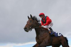 Altair Star mit Filip Minarik beim Aufgalopp in Iffezheim. www.galoppfoto.de