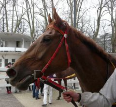 Amanjena nach ihrem Sieg in Neuss am 10.03.2012 (Foto Suhr)