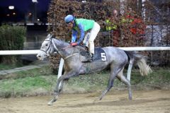 Anarchie gewinnt mit Alexander Pietsch am 08.02.2015 in Neuss. Foto: Dr. Jens Fuchs