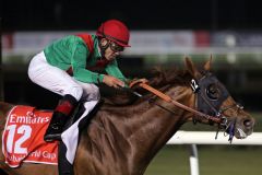 Animal Kingdom mit Joel Rosario als Sieger im  Dubai World Cup. www.galoppfoto.de - Petr Guth