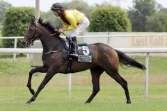 Aojana mit Michael Cadeddu beim Aufgalopp in Dortmund 2021. ©galoppfoto - Stephanie Gruttmann